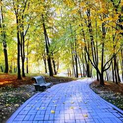Jigsaw puzzle: Autumn Gorky Park