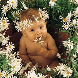 Jigsaw puzzle: Kid in daisies