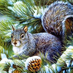 Jigsaw puzzle: Gray squirrel