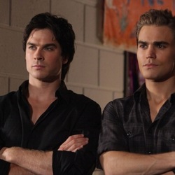Jigsaw puzzle: The Salvatore brothers