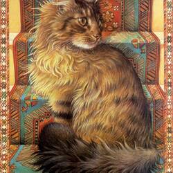 Jigsaw puzzle: Fluffy handsome