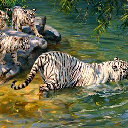 Jigsaw puzzle: Swimming lesson