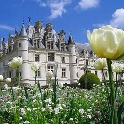 Jigsaw puzzle: Tulips at the castle
