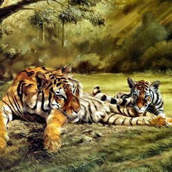 Jigsaw puzzle: Eyes of the Tiger