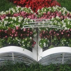 Jigsaw puzzle: Flower bed book