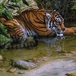 Jigsaw puzzle: At the watering hole