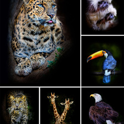Jigsaw puzzle: Portraits of animals