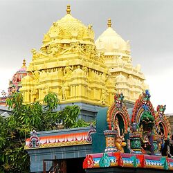 Jigsaw puzzle: Varadharaja Perumal Temple