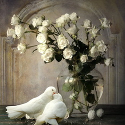 Jigsaw puzzle: Doves