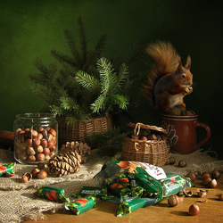 Jigsaw puzzle: Squirrel in chocolate