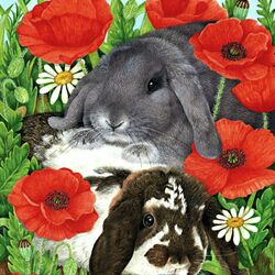 Jigsaw puzzle: Rabbits in poppies