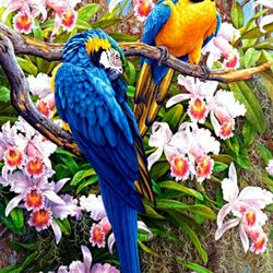 Jigsaw puzzle: Parrots in orchids