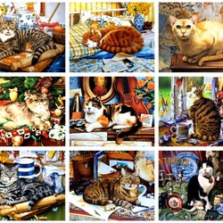 Jigsaw puzzle: Different cats