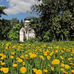 Jigsaw puzzle: End of May in Vologda