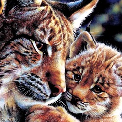 Jigsaw puzzle: European lynx