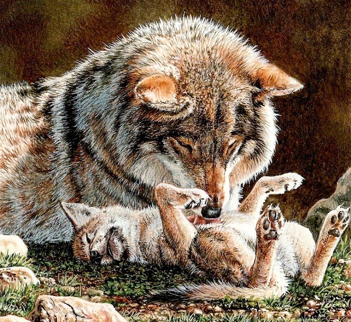 Jigsaw puzzle «Wolves» - solve jigsaw puzzles online | PuzzleIt