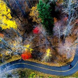 Jigsaw puzzle: Road through autumn