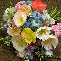 Jigsaw puzzle: Bouquet of summer