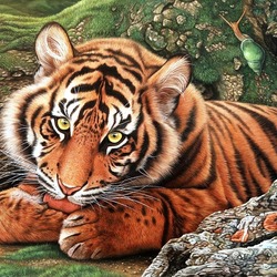 Jigsaw puzzle: Sumatran tiger
