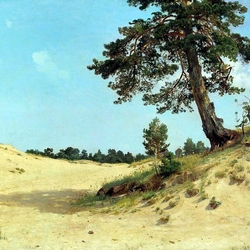 Jigsaw puzzle: Pine tree on the sand
