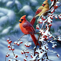 Jigsaw puzzle: A couple of cardinals