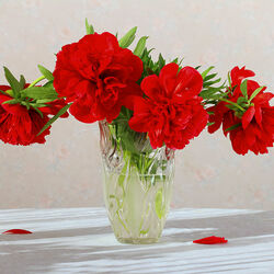 Jigsaw puzzle: Red peonies