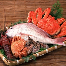 Jigsaw puzzle: Seafood