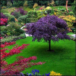 Jigsaw puzzle: Bright colors of the garden