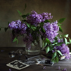 Jigsaw puzzle: Still life with lilacs and old photographs