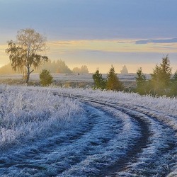 Jigsaw puzzle: Frost