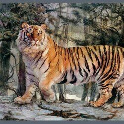 Jigsaw puzzle: Ussurian tiger