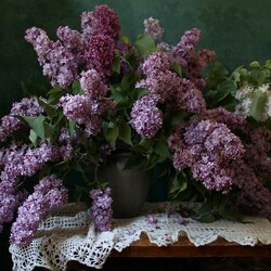 Jigsaw puzzle: Lilac