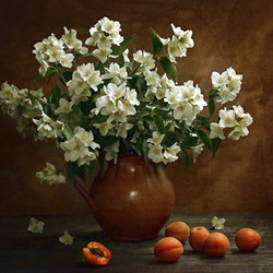 Jigsaw puzzle: Jasmine and apricots