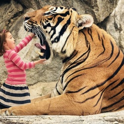 Jigsaw puzzle: Dentist and Tiger