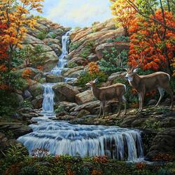 Jigsaw puzzle: Deer at the waterfall
