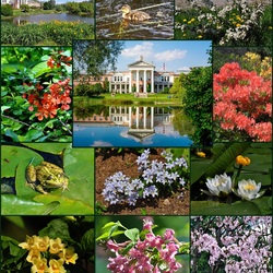 Jigsaw puzzle: Main Botanical Garden named after N.V. Tsitsina