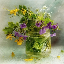 Jigsaw puzzle: Medicinal bouquet