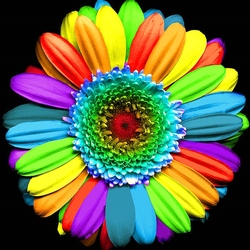 Jigsaw puzzle: Rainbow flower