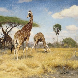 Jigsaw puzzle: In the African savannah