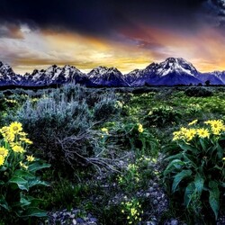 Jigsaw puzzle: Mountains and flowers