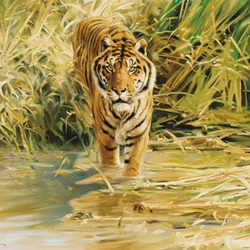 Jigsaw puzzle: Crouching tiger
