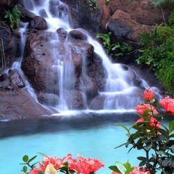 Jigsaw puzzle: Waterfall