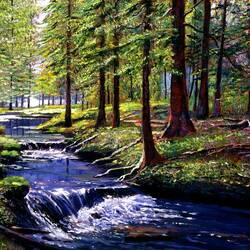 Jigsaw puzzle: Forest stream