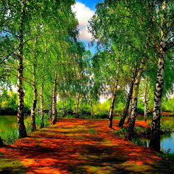 Jigsaw puzzle: Birches by the river