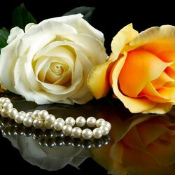 Jigsaw puzzle: Pearls and roses