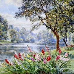 Jigsaw puzzle: Gladioli by the river