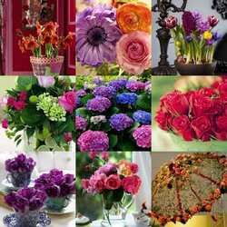 Jigsaw puzzle: Flower collage