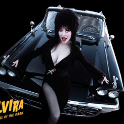 Jigsaw puzzle: Elvira - Lady of Darkness