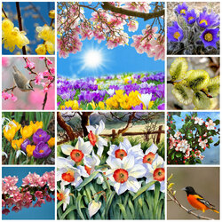 Jigsaw puzzle: Spring is coming