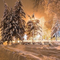 Jigsaw puzzle: Winter